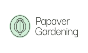 Papaver Gardening