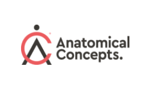 Anatomical Concepts UK Ltd